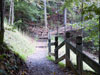 Part of trail leading up.