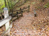 Stairs on trail leading down.