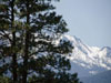 Snow capped mountains.