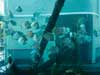 Tank of fish.