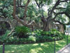 Alamo grounds.