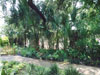 Alamo grounds.