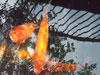 Alamo fish.