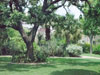 Alamo grounds.