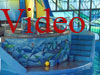 Sea World Video 