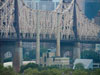 Roosevelt island.