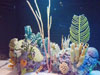 coral.