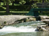 One of the falls.
