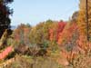 Looking down the mountain at Colorful trees.