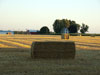 Large bales of hay.