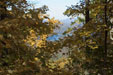 Looking at South Holston lake from mountain.