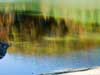 Reflection in South Holston lake.