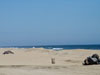 View of beach.