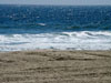 View of ocean.