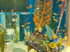 fish tank.