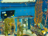 fish tank.