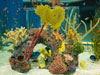 fish tank.