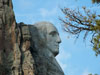 Washington's profile.