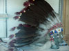 Indian headdress.