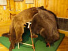 Indian wigwam or wickiup.