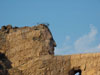Crazy Horse's head.