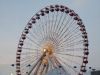 Ferris wheel at Navy Pier.