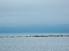 Harbor break wall.