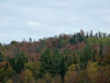 Some fall colors.