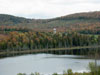 Fall colors.
