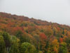 Fall colors.