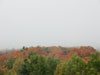 Fall colors.