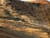 Badlands,ND.