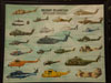 Aircraft Museum.
