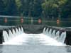 View of the Weirs below the dam