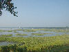 Beaufort bay