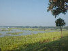 Beaufort bay