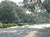 Houses in town