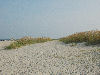view of beech on Tybee island