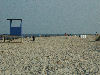 view of beech on Tybee island