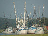 Close up of the trawlers