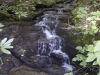 View of the falls by the road.