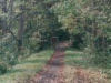 Bridge #13 along the trail.