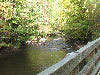 Looking downstream from one of many crossings.