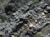 close up of hill by falls