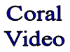 coral reef video.