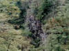Looking into the ravine