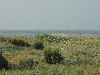 View of the dunes at the beech
