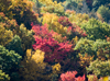 Fall colors around the parkway