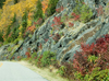 Fall colors around the parkway