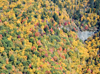 Fall colors around the parkway